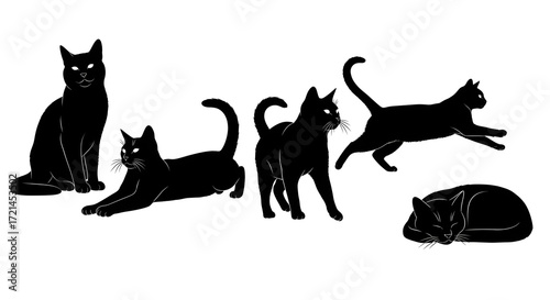 Silhouette of black cats in various poses isolated on white background