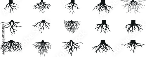 roots vector icons, tree roots outline, doodle root pack, black roots silhouette, minimal root artwork, root cartoon design, tree growth sketch, doodle eco roots, natural growth vector, hand drawn roo