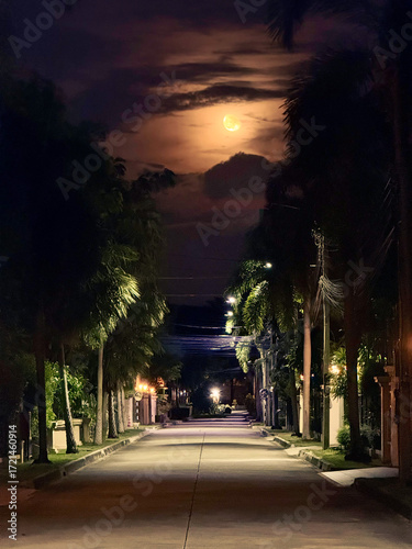 night view of the city