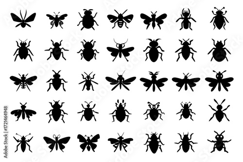 Collection of insect silhouettes set of various bug species, including ant, beetle, fly, and mosquito in black color