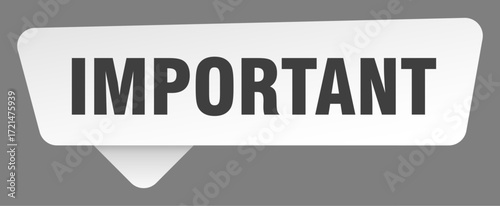 important sign. important white sticker isolated on gray background