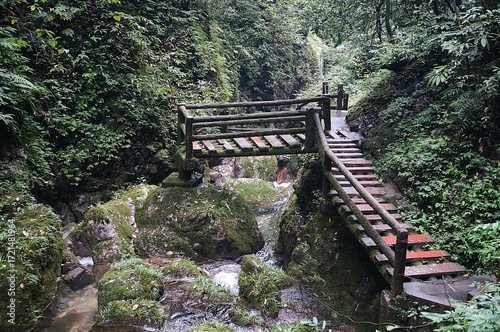 mount qingcheng, chengdu, china