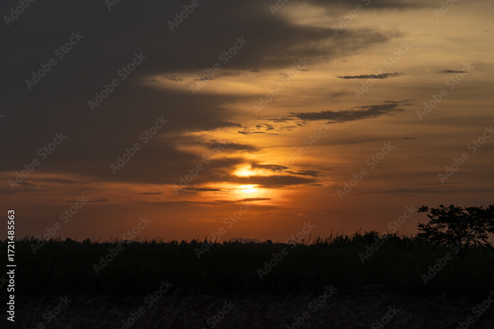 Obraz premium sunset over the field