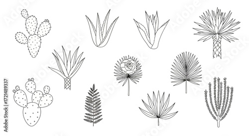 set of flowers