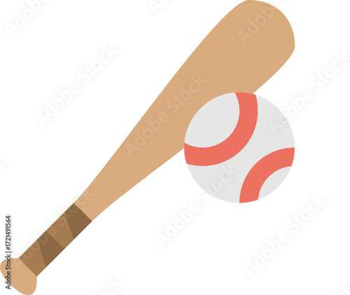 Bat and Ball Game