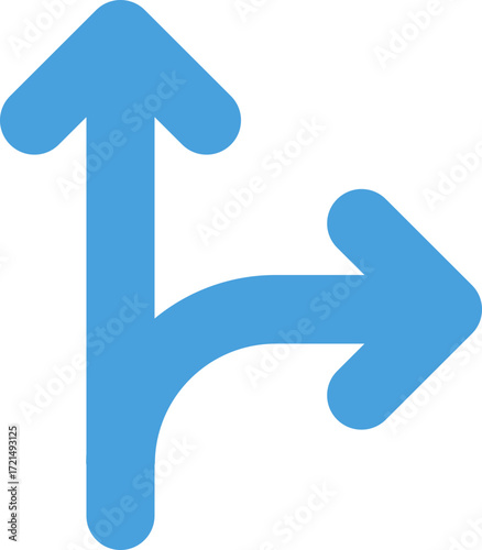 Directional Choice Icon