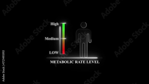 Metabolic Rate Level Chart with Human Figure metabolism