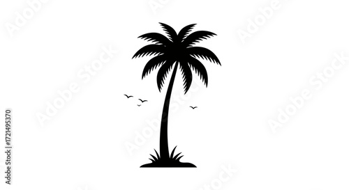 palm tree vector illustration