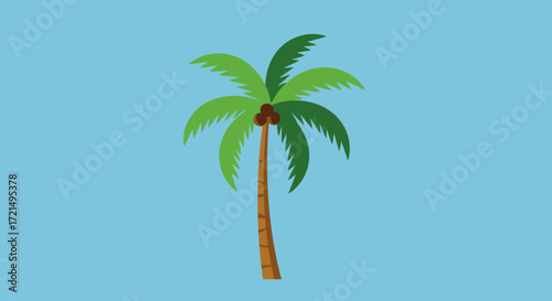 palm tree vector illustration