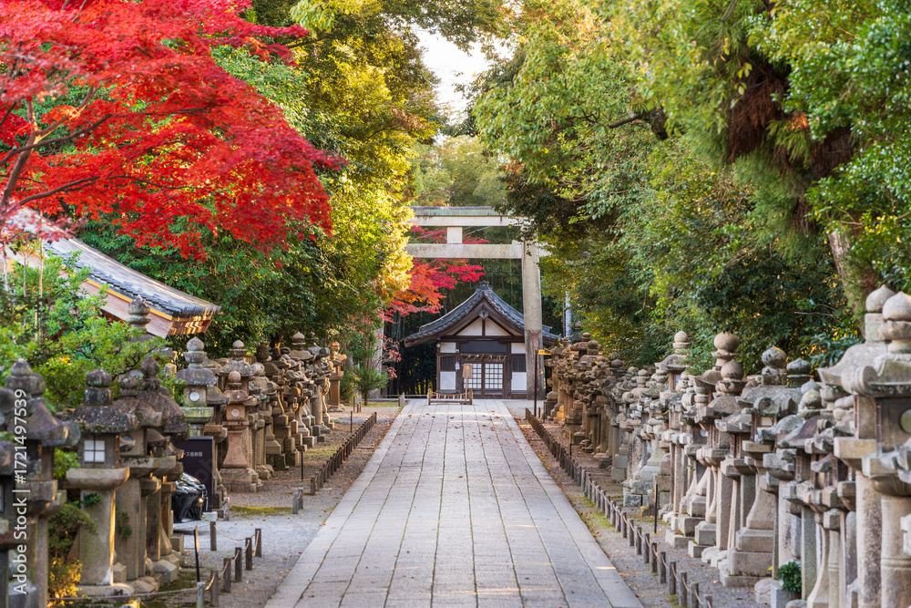 Obraz premium Yawata, Kyoto, Japan - December 5 2024 : The stone-paved approach to Iwashimizu Shrine, featuring stone lanterns, torii gate, and autumn foliage.
