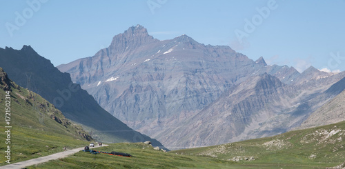 Natural variety found in an Alpine valley. Europe. They were mainly taken in the Gran Paradiso valley, Italy. They were taken during a 7-day hike. From 1800 to 3100 meters altitude. 