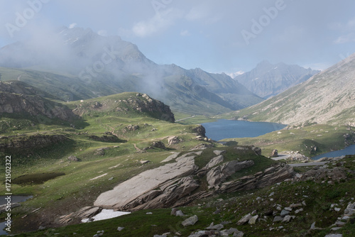 Natural variety found in an Alpine valley. Europe.
They were mainly taken in the Gran Paradiso valley, Italy. They were taken during a 7-day hike. From 1800 to 3100 meters altitude. 