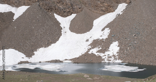 Natural variety found in an Alpine valley. Europe. They were mainly taken in the Gran Paradiso valley, Italy. They were taken during a 7-day hike. From 1800 to 3100 meters altitude. 