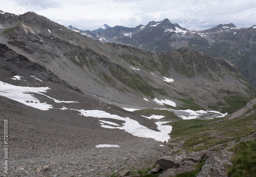 Natural variety found in an Alpine valley. Europe. They were mainly taken in the Gran Paradiso valley, Italy. They were taken during a 7-day hike. From 1800 to 3100 meters altitude. 