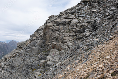 Natural variety found in an Alpine valley. Europe. They were mainly taken in the Gran Paradiso valley, Italy. They were taken during a 7-day hike. From 1800 to 3100 meters altitude. 
