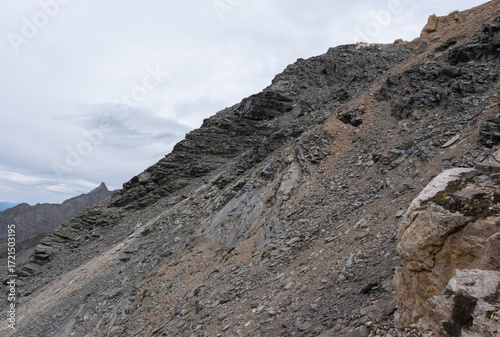 Natural variety found in an Alpine valley. Europe. They were mainly taken in the Gran Paradiso valley, Italy. They were taken during a 7-day hike. From 1800 to 3100 meters altitude. 