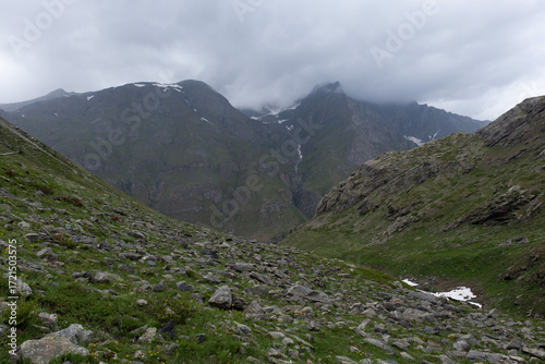 Natural variety found in an Alpine valley. Europe. They were mainly taken in the Gran Paradiso valley, Italy. They were taken during a 7-day hike. From 1800 to 3100 meters altitude. 