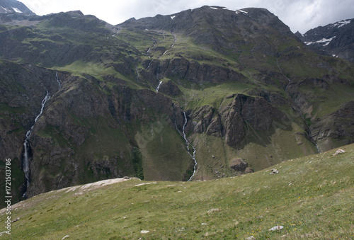 Natural variety found in an Alpine valley. Europe. They were mainly taken in the Gran Paradiso valley, Italy. They were taken during a 7-day hike. From 1800 to 3100 meters altitude. 