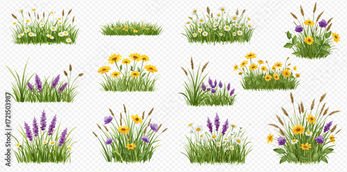A collection of various vibrant green grass clumps adorned with colorful yellow, purple, and white wildflowers on a transparent background.