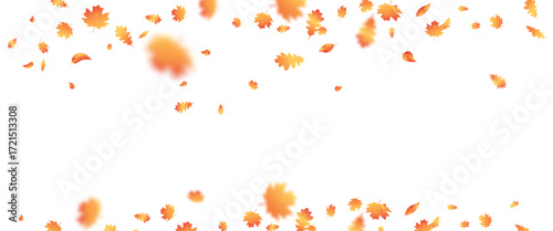 Autumn leaf flying frame. October foliage wave background. Thanksgiving day card. Fall maple composition. Oak leaves decor september poster. Orange plant. Harvest party invitation.Vector illustration