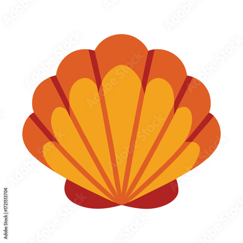 vector illustration of an atlantic bay scallop shell
