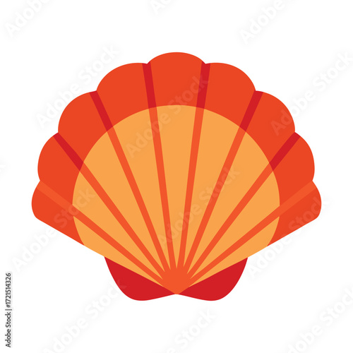  fan scallop shell vector illustration 