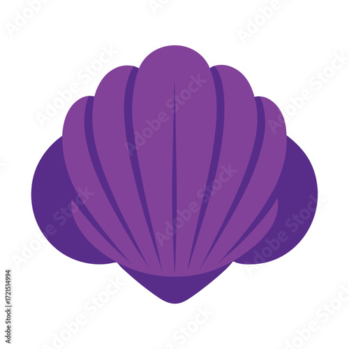 vector illustration of a  purple top shell
