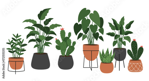 Collection of indoor potted plants in different shapes and styles illustration