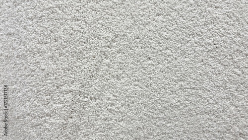 Wallpaper Mural White shag carpet texture close up from above – soft fluffy rug textile background for interior design and decor Torontodigital.ca