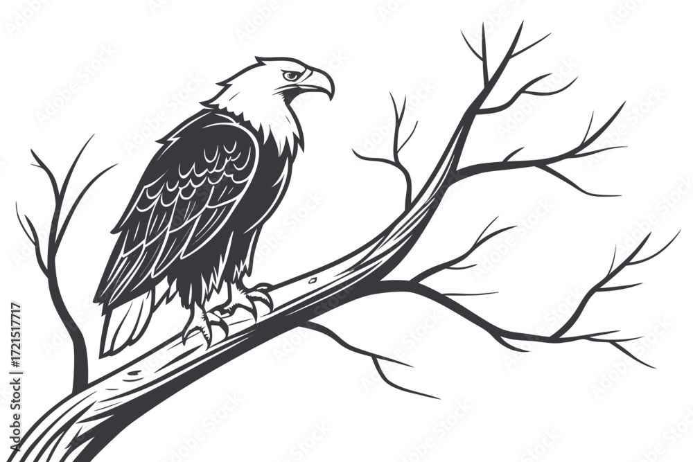Fototapeta premium Detailed Hand-Drawn Bald Eagle and Tree Illustration