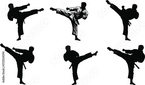 Karate and martial arts silhouette collection, high side kick poses, taekwondo fighters in various attacking positions, vector illustration isolated on white background.