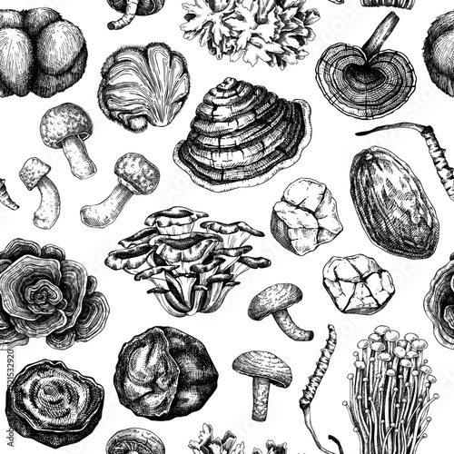 Medicinal mushroom seamless pattern design. Alternative medicine background. Hand drawn vector illustration. Healing fungi sketches. NOT AI generated