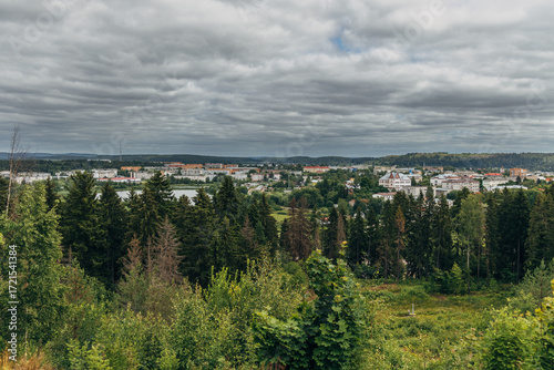 Podobny obraz