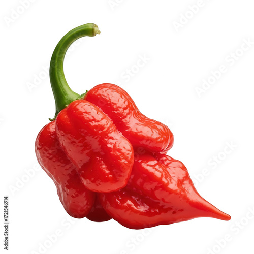 Bright red carolina reaper pepper isolated on transparent background