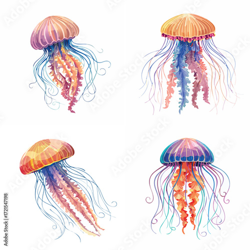 Four vibrant jellyfish illustrations, showcasing diverse colors and patterns.