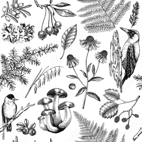 Autumn nature background. Fall leaves seamless pattern. Hand drawn vector illustration. Not AI generated