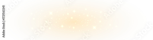 Elegant golden glow with radiant festive spark.