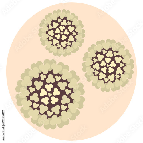 Three chikungunya viruses in a round white biological cage. Round yellow and brown togovirus transmitted by the bite of a female mosquito. Color vector illustration. Isolated on white background. Flat