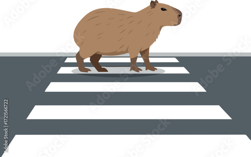 Capybara walking across pedestrian crosswalk in urban environment simple vector design