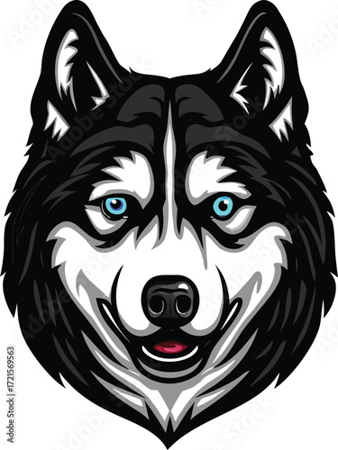 Black and white husky dog face 