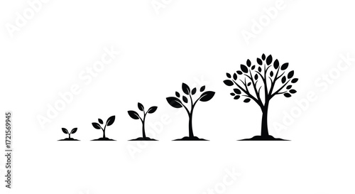 The stages of tree growth depicted in a simple black and white design
