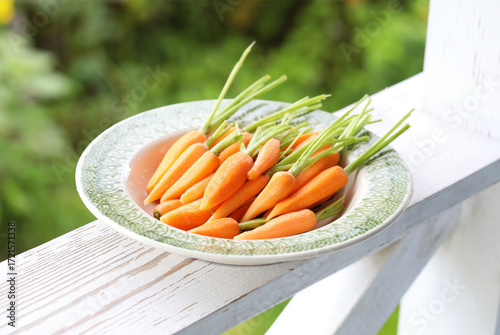 Young peeled raw carrots in a green plate on the summer porch. Selective focus.