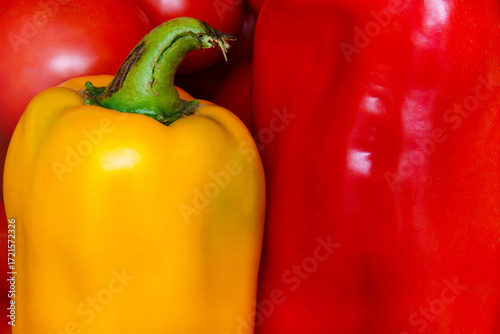Colorful bell peppers arranged together in a vibrant display of fresh produce