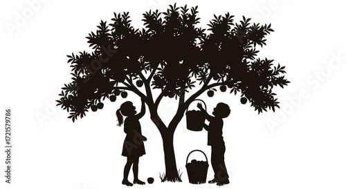 Silhouette of children picking mangoes from a lush full tree