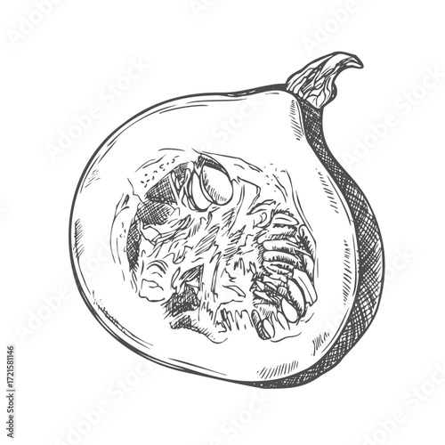 Wallpaper Mural Pumpkin slice vector drawing. Isolated hand drawn object with sliced piece and seeds. Vegetable engraved style illustration. Detailed vegetarian food sketch. Torontodigital.ca