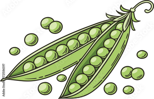 Fresh green peas in open pod vector illustration scalable eps icon for design