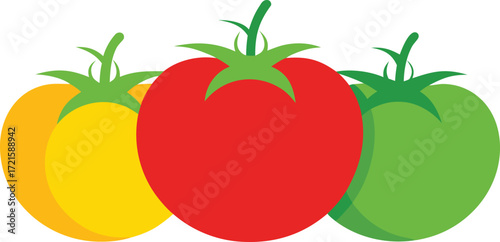 Colorful heirloom tomatoes vector illustration scalable eps graphic art