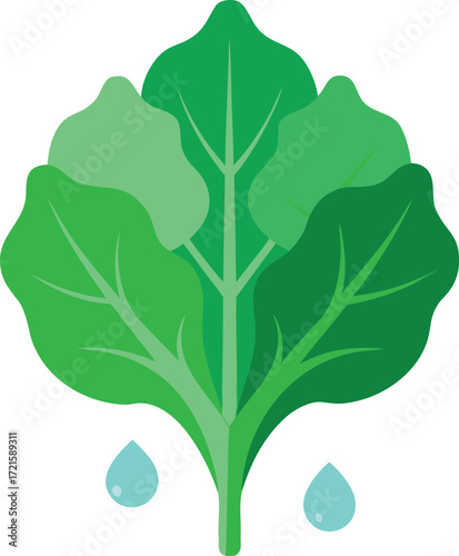 Green kale leaves with water droplets vector illustration for healthy food and nature designs