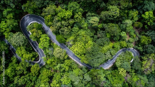 aerial. Aerial view of a serene forest road winding through lush greenery under natural daylight. travel magazines, destination branding, designed for travel destination branding.