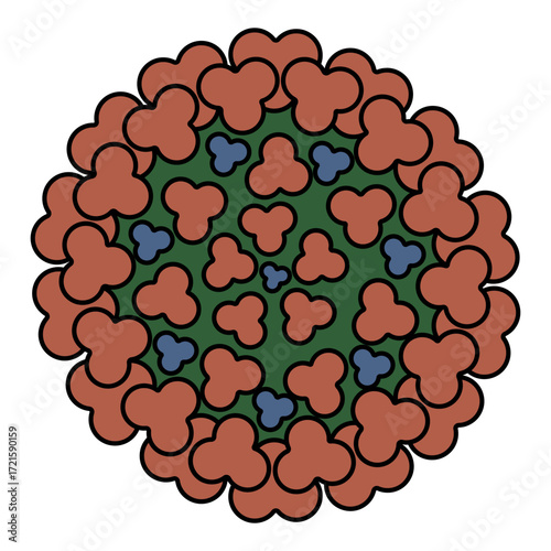 Chikungunya virus. Round multicolored togovirus transmitted by the bite of a female mosquito. Color vector illustration. Isolated white background. Cartoon. Medical theme. Idea for web design.